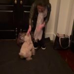 Catherine Zeta-Jones Instagram - When you get home ♥️