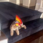 Catherine Zeta-Jones Instagram - 😂michael and I right now…a lot of dog, golf and honey. My dog has a pre-thanksgiving dress fitting before we settle in for baseball on tv. 🦃⚾️