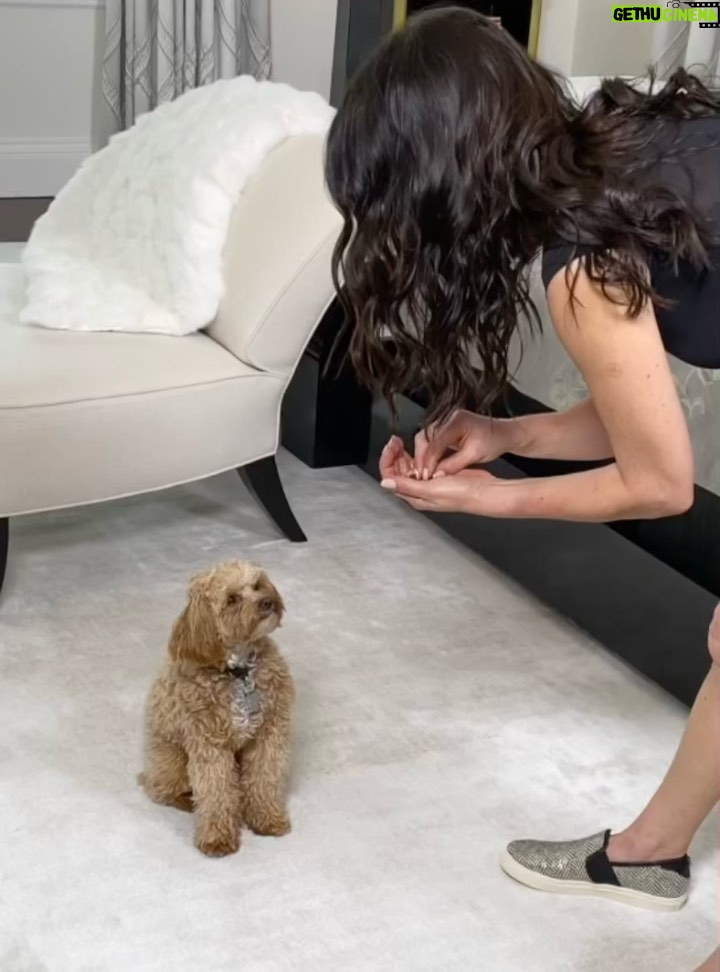 Catherine Zeta-Jones Instagram - A little behind the scenes moment shooting @casazetajones with one of my favorite co-stars 💕