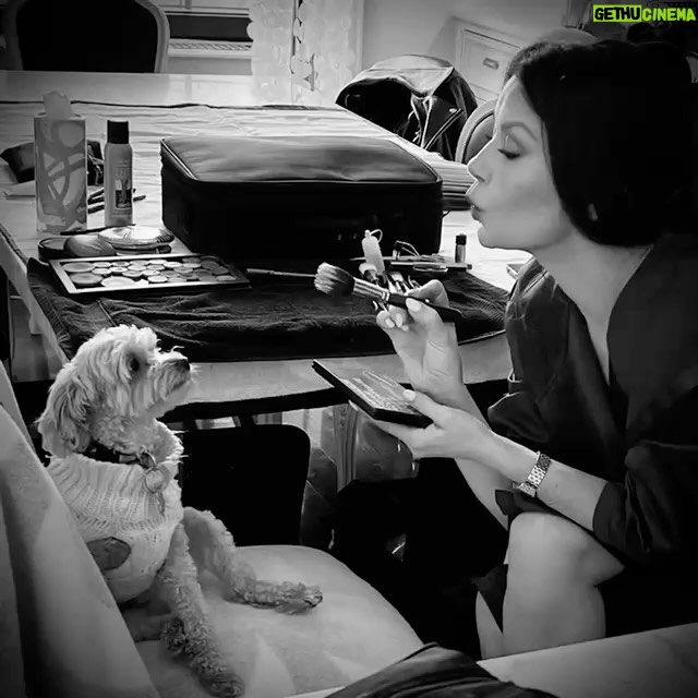Catherine Zeta-Jones Instagram - #mydog #taylor💓🐕🐶