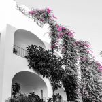Catherine Zeta-Jones Instagram - Captivating Capri💗