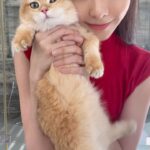 Cathryn Li Instagram - 一年穿一次，吃一頓後都扣不上去的旗袍😹🧧