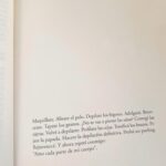 Celeste Cid Instagram - La semana pasada me regalaron este libro y ya desde la primera página supe que iba a salir modificada (algo parecido a lo que me pasó con Maleducadas, de @florfreijo .. que me dio un anteojo nuevo y abrió un mundo) No es casual que esta información llegue a mis manos en este momento: resonancia, “cómo es afuera, es adentro”, dicen (inclusive cuando lo que tenemos “adentro” muchas veces no son otra cosa que ESOS ideales del afuera que ya asumimos como propios.) La sobre-estimulación que recibimos (la cantidad de publicidades a las que estamos expuestxs cada día, en redes, en la calle, en los portales de internet) quizá sean el hilo del cual tirar para ver la rumiación interna del discurso que hay en nuestras mentes. ¿Cuánto es verdaderamente propio? Cuánto estamos intoxicadxs por las imágenes que absorbemos? Cuando la vida se parece a la vida, pero algo ahí te hace ruido; quizá mejor apagar las pantallas y ver qué nos quiere decir ese ruido ahí. En paralelo, mi hijo menor queriendo caminar sobre el río, y la luna 2 días atrás previo al temporal. Gracias @candeyatche @bellamenteorg por este libro - brújula. 🦋 Buenos Aires, Argentina