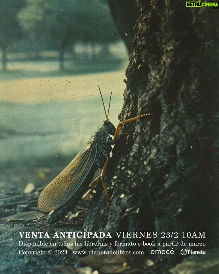 Celeste Cid Instagram - Escribí la mayor parte de este libro a mis 25 años, en el año 2009. Nunca imaginé publicarlo. Corte a: el Tiempo -una vez más haciendo lo suyo- Un lbro que es mio, pero es de muchxs, pues: el amor, los vínculos, los legados, los apegos, las fobias, los estar en el mundo, y de nuevo: el amor, porque de eso se trata todo al fin. Acaba de habilitarse la pre-venta en este instante. Dejo link en Bio. Gracias por acompañarme 🦋 —————— Imágenes @elefantediamante / porque si fuese una peli iría por ahí graphics @luiginstag @alegriaba y la tipo de la Male @malenagagliesi Gracias @planetadelibrosar @anaojota @guiraldesmercedes @ignacio.iraola @clintbuarque 🤍