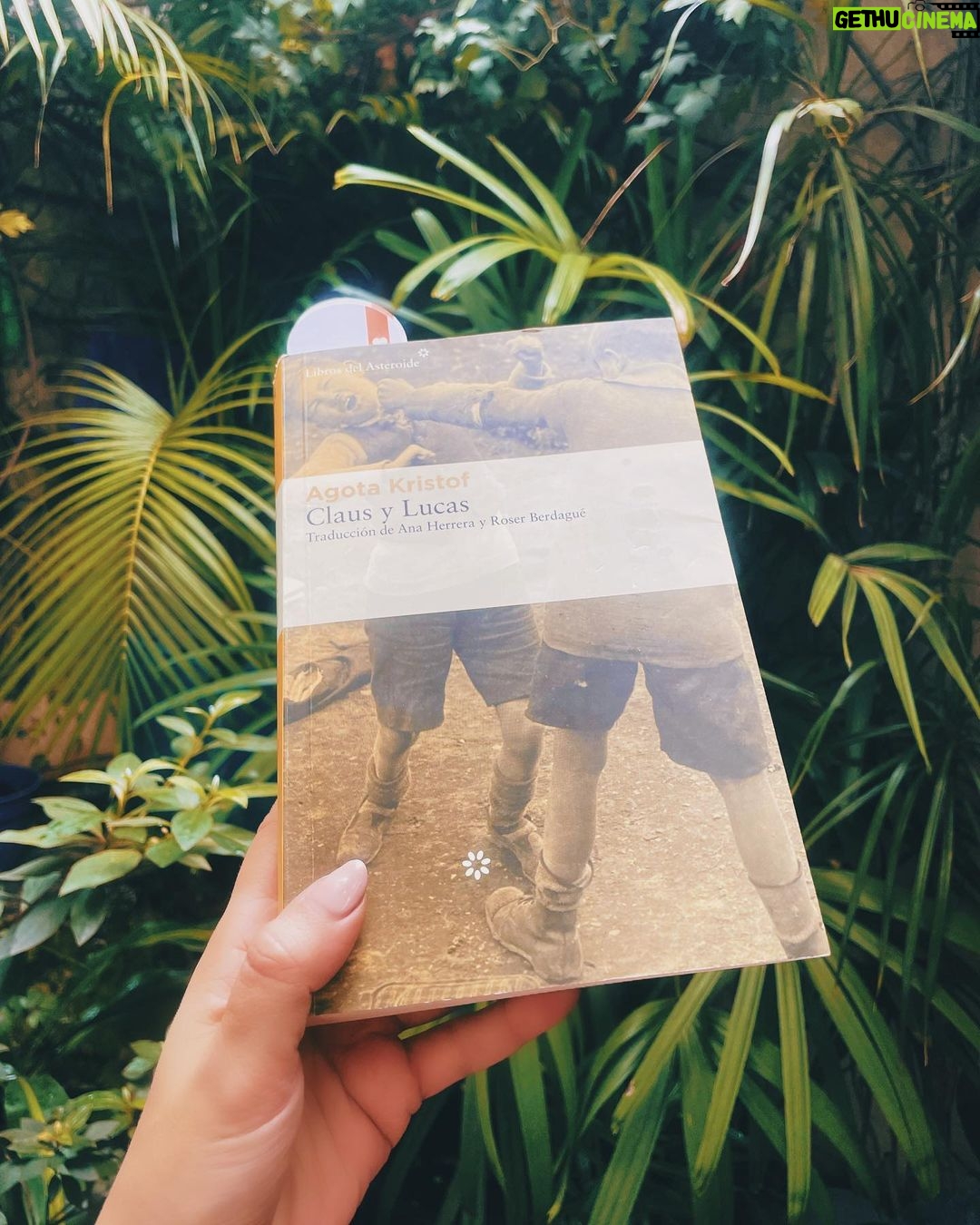 Celeste Cid Instagram - Empecé a leer este libro hace 3 días. Es una maravilla, había empezado otro y no me enganchó. - No me gusta escribir acá cuál era el otro, porque los libros no siempre tienen la “culpa”, a veces simplemente es cuestión de tiempo, y de resonancias más personales.- Esa caminata con mis hijos fue muy hermosa, André hizo ese gesto muy precioso, como es todo él. El otro video fue medio sin querer (acaso esta canción suena mejor en las radios que en las redes sociales?) Es cierto que podemos comprar nuestras propias flores, y también es cierto que por eso a veces es tan lindo cuando alguien te las regala. Éstas me la regalaron cuando terminé de filmar. Representan muy bien la sensación con la que volví a casa. 🌻 Buenos Aires, Argentina