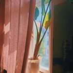 Celeste Cid Instagram - Berlín. 1. no comprendo la vida sin botas. (me gustan el amarillo y el verde cómo quedan juntos.) 2. saludo al sol. 3. decime en dónde estás sin decirme dónde estás. 4. en construcción. 5. está ahí hace - al menos - dos días 6. en Orange hacen buen café y tienen lindas flores. 7. tuve que comprar flores yo también .. 8. .. a él, que hablaba sólo japonés. no entendí que me dijo, pero elegí unas y las señalé. (ya de lejos me había enamorado de ese señor y su mundo.) Berlin, Germany