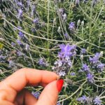 Celeste Cid Instagram - un pokito de flores. descubrir la inflorescencia. siempre el sol. halloween anticipado. los reflejos, lo íntimo, lo que está en las sombras, transformándose. transformándome. y el cuerpo, el cuerpo albergando todo. temporada escorpio en el aire. 🛸🔥 Escobar - Buenos Aires