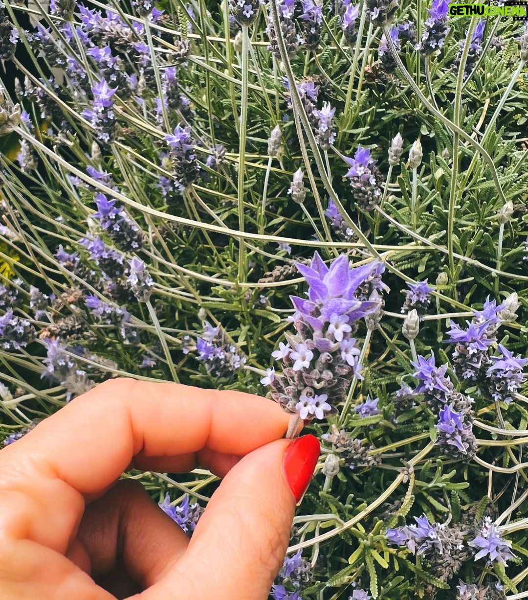 Celeste Cid Instagram - un pokito de flores. descubrir la inflorescencia. siempre el sol. halloween anticipado. los reflejos, lo íntimo, lo que está en las sombras, transformándose. transformándome. y el cuerpo, el cuerpo albergando todo. temporada escorpio en el aire. 🛸🔥 Escobar - Buenos Aires