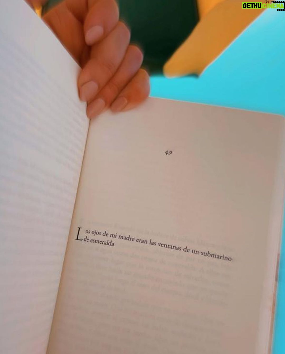 Celeste Cid Instagram - último día de los 742 que tuvo enero. terminé esta hermosura 📖, fuerte y contundente, directo a los huesos. casi que leí el final junto al mar y lloré en silencio, aunque no es real que haya silencio en una playa. 🌬️ qué bendición viajar, qué bendición la amistad, sus rutas y caminos. pd: el último video es de cuando tomamos el spa del @villesaintgermain con @luz.chiappe y @cecialvarezo 🍉 Cariló
