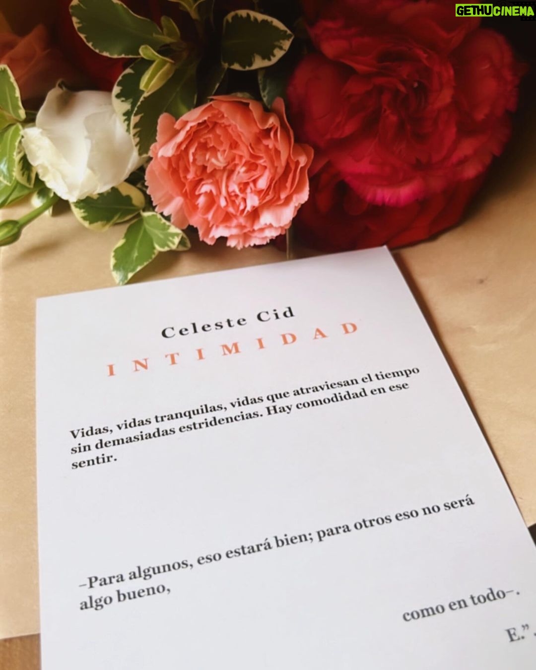 Celeste Cid Instagram - mis últimos días de la temporada piscis estuvieron (re)llenos de agua 💦 mudanza, mudanza en mi propia casa, cuadernitos de libros que leía, colección de tornillos en rodajes, cintas de cosas que filmé, el librito y todo lo que se despliega alrededor, los grupos humanos que siempre son motivo de festejo, las mujeres que me rodean me inspiran, mi hijo y sus caras también, y la lluvia que ya parece haber pasado ..
