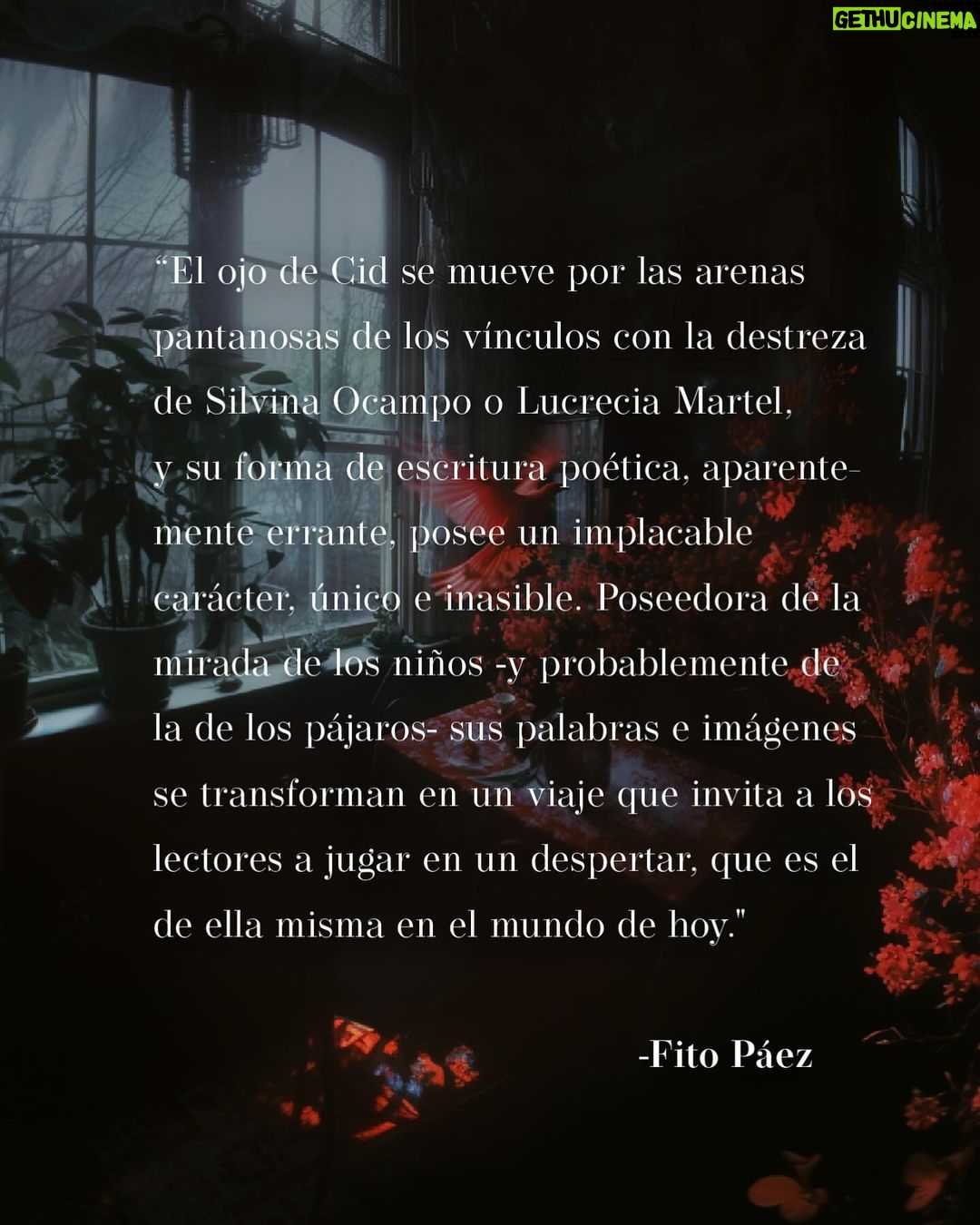 Celeste Cid Instagram - 2da semana de este librito en la calle y ya superó mis expectativas. (No es la lluvia, soy yo llorando hace 3 días) Pd: 13 de marzo. feliz cumple a una de las personas más generosas, llenas de garra y corazón que conozco. qué subrayado fuerte a la amistad haces con los años. 🐠🦋 te amamos @fitopaezmusica felí cumple 💕