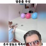 Celso Portiolli Instagram - Será que é verdade?