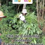 Celso Portiolli Instagram -