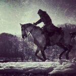 Cengiz Coşkun Instagram - #horse #snow #riding 🐎