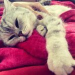 Ceyda Düvenci Instagram - MUTLUYUM, MUTLUSUN, MUTLU… #eros