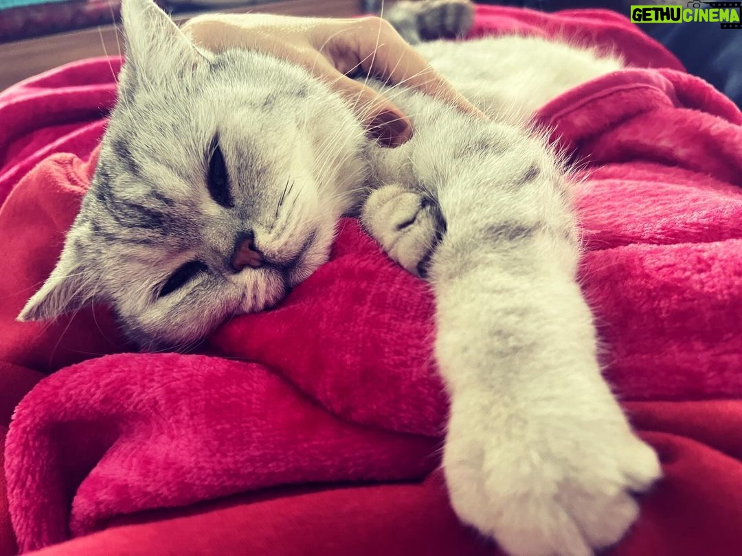 Ceyda Düvenci Instagram - MUTLUYUM, MUTLUSUN, MUTLU… #eros