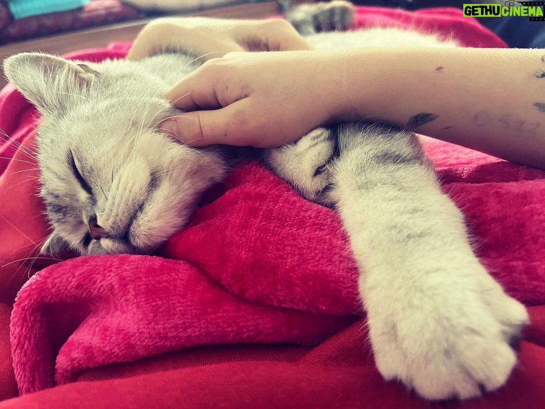 Ceyda Düvenci Instagram - MUTLUYUM, MUTLUSUN, MUTLU… #eros