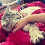 Ceyda Düvenci Instagram - MUTLUYUM, MUTLUSUN, MUTLU… #eros