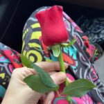 Ceyda Düvenci Instagram - Hayatın tüm güzel detaylarına aşkla bağlıyım ve şükür ediyorum… hepsi o kadar güzel ki… özenle hazırlanmış bir sofra, güzel müzik, sanat, dev duvarı kaplayan bir resim, bahçeden koparılmış minik mandalina, sıcacık bir bitki çayı, evlat kokusu, kediler&köpekler&kuşlar, ürettiklerim, çiçekler, özen, önem ve yaşamayı seviyorum diye bağıran diğer her şey… etrafınızdaki minik detayları yazsanıza bana…