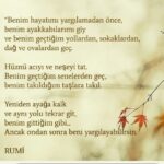 Ceyda Düvenci Instagram - En sevdiğim şiirlerden biridir… hayatımda her zaman; kendi yolunda olmayan, dedikodu ve varsayımlarla beslenen, saygı ve sınır bilmeyen ve son zamanlarda varolmaya çalışan klavye delikanlılarına hep hatırlatmayı sevdim… bu arada asla yorumlara göre yaşayan ya da elalem ne der diyen biri olmadım. Her zaman yüreğimi ve aklımı dinledim bin şükür… o yüzden üzüldüm ya da etkileniyorum sanmayın yorum bölümünden… 3 milyon küsur takipçiden 10-20 tane kendini bilmez çıkacak elbette (ki bence iyi bi oran 🍀)… bu şiiri aslında kendini bilenler için paylaşmak istedim… hepimiz kendi yolumuzda kendi biçimimizde mutluyuz… ve unutma kendinden başka kimseye hesap verme… sadece içindeki sesi dinle… hayat senin, zaman bir nefes, ömür de bir kez… 🍀🦋🌻mutluluğumdan size sevgilerle…