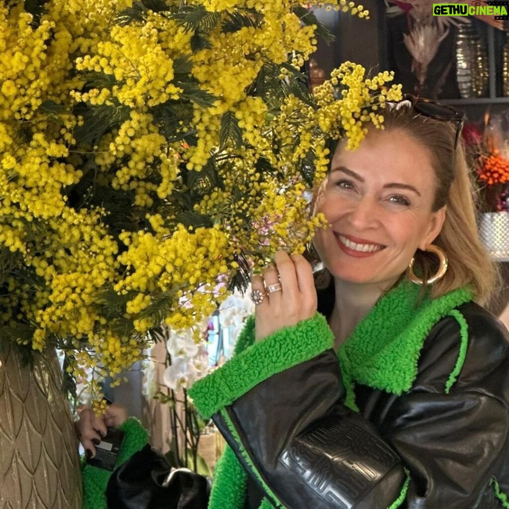 Ceyda Düvenci Instagram - Mimoza güneş gibidir, altın gibidir… Mimoza çiçeğinin hikayesi İtalya’da başlar. 1946 yılında yapılan savaşın sonunda harabe gibi bir ülke olan İtalya, çeşitli çözümler arayışına girilmiştir. İtalyan halkı için yaşama umudu arayışı başlamıştır. Bu arayış içerisinde ise İtalya Kadın Birliği üyelerinden Terasa Mattei, Terasa Noce, Rita Mognagnana adlı 3 kadın toplumun yeniden inşa edilmesi için “Kadın Dayanışması” adlı bir çalışma yapılmış ve bunun yaşama umudu olduğunu anlamışlar. Bu çalışmayı da en iyi sembol edecek şeyin bir çiçek olduğuna karar verirler. Peki ama hangi çiçek? Gelen çiçek teklifleri arasında karanfil, anemon ve mis kokulu mimoza çiçeği olmuştur. Her çiçeğin özellikleri göz önünde bulundurularak mimoza çiçeğine karar verilmiştir. Peki tercih edilmesindeki mimoza çiçeğinin özellikleri neler olmuştur? Birinci ve en önemli özelliği şüphesiz ki mimoza çiçeğinin mart ayında çiçeklenmesidir. Mart ayında olmasıyla Dünya Kadınlar Gününü de temsili ile bağdaştırılmaktadır. Bir diğer mimoza çiçeğinin özelliği ise sarı rengidir. Göz alıcı sarı rengi ile savaşta kaybolan moralin, umudun ve huzurun yeniden düzeleceğine inanılmıştır. Bakımının fazla uğraş istememesi ise tercih edilmesinde bir diğer sebeptir. Çünkü İtalya’nın hemen toparlanması ve ayağa kalkması isteniliyordu. Her şeye rağmen ne kadar kırılgan ve naif olsalar da soğuk havalara karşı dirençli ve güçlü olmalarıyla bilinen mimoza çiçeğinin bu özelliği de İtalya’ya benzetilmiştir. Huzur ve sevgi benim için de mimoza… mart ayı ne güzelsin…