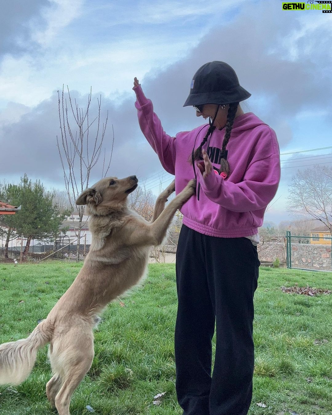 Ceyda Kasabalı Instagram - Asos'u sahipleneli 8 ay olmus.Barınaktan eve dönerken sorduğumuzda 4 aylık demislerdi. o zaman Asos'un bu ay dogum günü müdür? hehdhhd