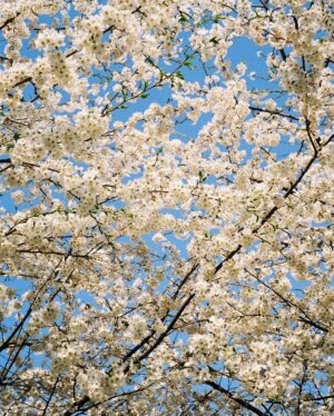 Cha Hak-yeon Instagram - 오늘의 기록_20230330

봄🌸