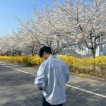 Cha Hak-yeon Instagram - 오늘의 기록_20230330 봄🌸