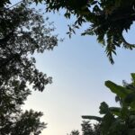 Cha Hak-yeon Instagram - 오늘의 기록_20230318 🌴