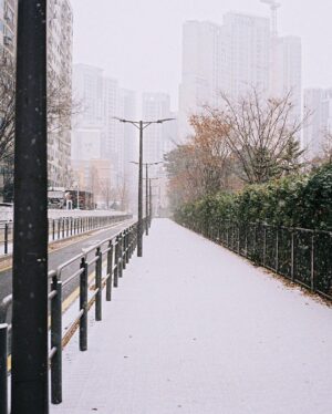 Cha Hak-yeon Instagram - 오늘의 기록_20221221

⛄️