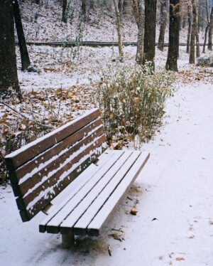 Cha Hak-yeon Instagram - 오늘의 기록_20221221

⛄️