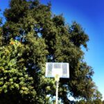 Chad Michael Murray Instagram - Gotta be the Uni💪Only 3 days left on this campaign. High quality Autographed Lucas Scott Jersey’s with proceeds benefiting St. Judes. Get em while they last. @represent #OTH LINK IN BIO Don’t say I didn’t warn you. Gone soon. Much love & enjoy- CMM