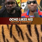 Chad Ochocinco Instagram - Tiger Stripes > Pleats 🤣