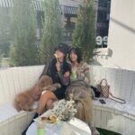 Chae Soo-bin Instagram - 너무 예뿌고 맛있꼬르르…💟 #corrr #꼬르르
