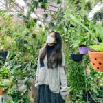 Chae Soo-bin Instagram – 반려식물 입양기 in 수빈둥빈둥 🪴
⠀
link in bio ✔️