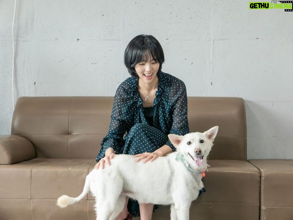 Chae Soo-bin Instagram - 우리마타 잘했어🤍 ⠀ 마타랑 공부하기 실전편! link in bio✔️