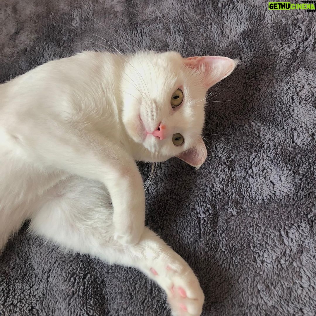 Chae Soo-bin Instagram – 😺 Gethu Cinema