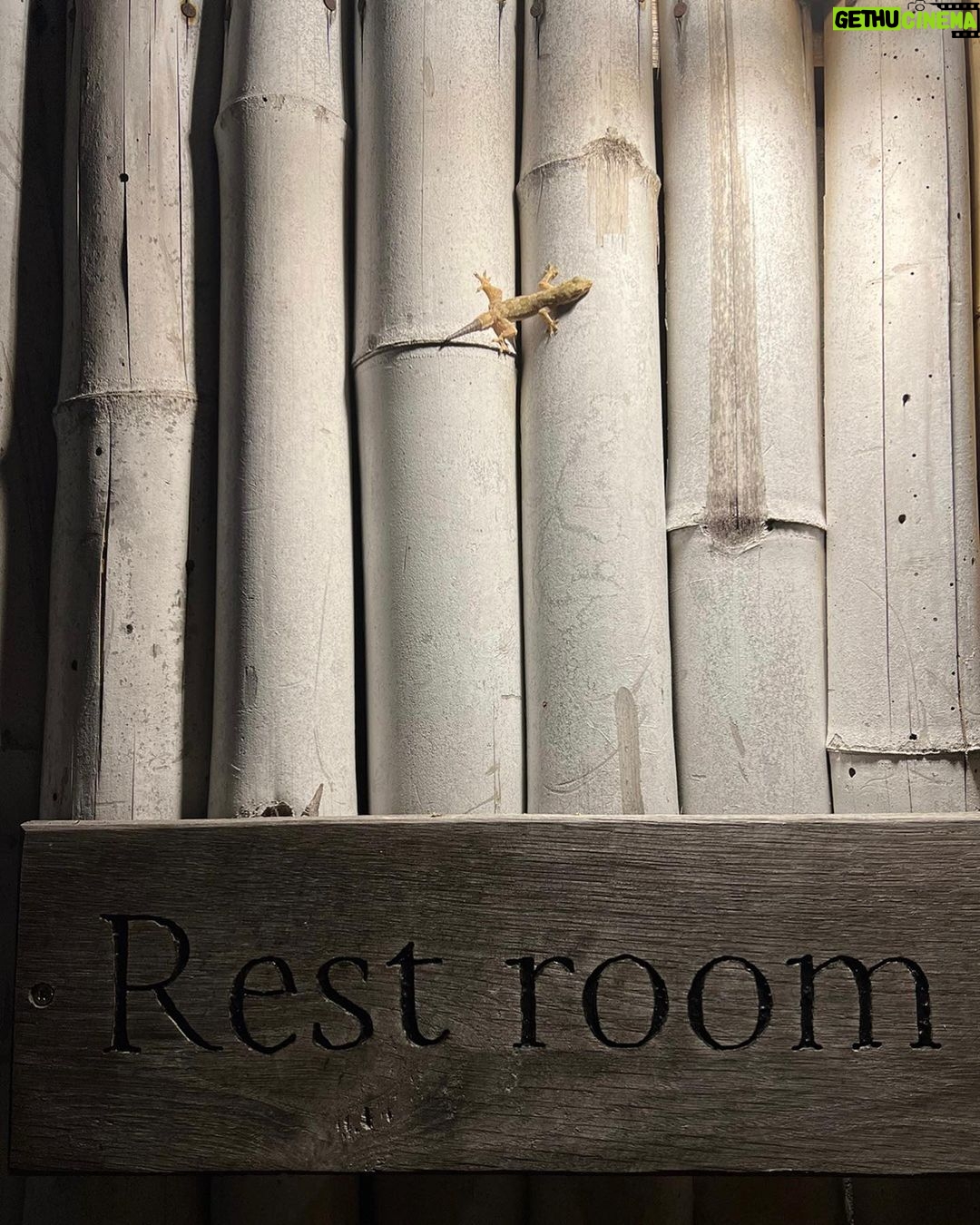 Chae Soo-bin Instagram - 그림같았던 여행🩵 고맙습니당 @tripfolders Six Senses Ninh Van Bay, Nha Trang