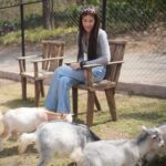 Chalida Vijitvongtong Instagram - แวะมาเล่นกับน้องๆกันนะคะ 🦁🐐🦙🦜🦨🦝💕 Bonanza Exotic Zoo