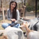 Chalida Vijitvongtong Instagram - แวะมาเล่นกับน้องๆกันนะคะ 🦁🐐🦙🦜🦨🦝💕 Bonanza Exotic Zoo