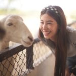 Chalida Vijitvongtong Instagram - แวะมาเล่นกับน้องๆกันนะคะ 🦁🐐🦙🦜🦨🦝💕 Bonanza Exotic Zoo