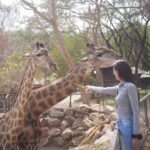 Chalida Vijitvongtong Instagram - แวะมาเล่นกับน้องๆกันนะคะ 🦁🐐🦙🦜🦨🦝💕 Bonanza Exotic Zoo