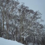 Chalida Vijitvongtong Instagram – พายุเข้าก็ต้องเล่น ❄️☃️ Niseko 翠華 at Grand Hirafu