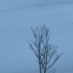 Chalida Vijitvongtong Instagram – พายุเข้าก็ต้องเล่น ❄️☃️ Niseko 翠華 at Grand Hirafu