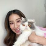 Chalida Vijitvongtong Instagram - ส่งน้องกลับดาวแมว #aleynathecat อเลน่าเจ้าเหมียวหน้าแบ๊วแต่ดุที่สุดแต่ไม่ดุกับเรานะ!! และโลกส่วนตัวสูงปรี๊ดๆๆๆ จะขี้อ้อนและน่ารักที่สุดเวลาได้อยู่ตัวเดียว ให้ลูกน้อยมา1ตัว ชื่อเจ้ากิซโม่ ตลอดเวลาที่เลี้ยงอเลน่ามาน้องไม่เคยป่วยเลยแม้แต่ครั้งเดียว เลี้ยงง่าย ไม่เคยต้องมีอะไรให้เป็นห่วง จนหนูป่วยกระทันหันหนูยังสู้สุดๆ ขอบคุณหนูนะ11ปีที่อยู่ด้วยกัน หนูมาสร้างความสุขให้บ้านของเรา ทุกคนรักและคิดถึงเลน่ามากๆ หนูจะอยู่ในใจพวกเราทุกคนตลอดไป #คิดถึงสุดหัวใจ ❤️🐱 ขอบคุณพี่ @tung_bemycat ที่ส่งน้องมาให้บ้านเราดูแลและพี่ๆก็ยังเด็กทุกตัวในบ้านอยู่ตลอด🤟🏻