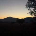 Chalida Vijitvongtong Instagram - Morning sun kisses the tent with a golden glow. ☀️🏞️ BoNanZaเขาใหญ่