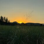 Chalida Vijitvongtong Instagram - Morning sun kisses the tent with a golden glow. ☀️🏞️ BoNanZaเขาใหญ่