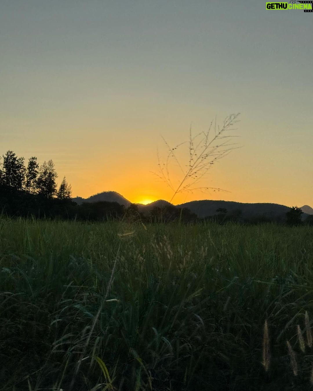 Chalida Vijitvongtong Instagram - Morning sun kisses the tent with a golden glow. ☀️🏞️ BoNanZaเขาใหญ่