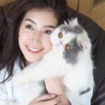 Chalida Vijitvongtong Instagram - ส่งน้องกลับดาวแมว #aleynathecat อเลน่าเจ้าเหมียวหน้าแบ๊วแต่ดุที่สุดแต่ไม่ดุกับเรานะ!! และโลกส่วนตัวสูงปรี๊ดๆๆๆ จะขี้อ้อนและน่ารักที่สุดเวลาได้อยู่ตัวเดียว ให้ลูกน้อยมา1ตัว ชื่อเจ้ากิซโม่ ตลอดเวลาที่เลี้ยงอเลน่ามาน้องไม่เคยป่วยเลยแม้แต่ครั้งเดียว เลี้ยงง่าย ไม่เคยต้องมีอะไรให้เป็นห่วง จนหนูป่วยกระทันหันหนูยังสู้สุดๆ ขอบคุณหนูนะ11ปีที่อยู่ด้วยกัน หนูมาสร้างความสุขให้บ้านของเรา ทุกคนรักและคิดถึงเลน่ามากๆ หนูจะอยู่ในใจพวกเราทุกคนตลอดไป #คิดถึงสุดหัวใจ ❤️🐱 ขอบคุณพี่ @tung_bemycat ที่ส่งน้องมาให้บ้านเราดูแลและพี่ๆก็ยังเด็กทุกตัวในบ้านอยู่ตลอด🤟🏻