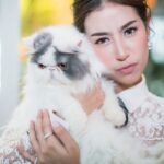 Chalida Vijitvongtong Instagram - ส่งน้องกลับดาวแมว #aleynathecat อเลน่าเจ้าเหมียวหน้าแบ๊วแต่ดุที่สุดแต่ไม่ดุกับเรานะ!! และโลกส่วนตัวสูงปรี๊ดๆๆๆ จะขี้อ้อนและน่ารักที่สุดเวลาได้อยู่ตัวเดียว ให้ลูกน้อยมา1ตัว ชื่อเจ้ากิซโม่ ตลอดเวลาที่เลี้ยงอเลน่ามาน้องไม่เคยป่วยเลยแม้แต่ครั้งเดียว เลี้ยงง่าย ไม่เคยต้องมีอะไรให้เป็นห่วง จนหนูป่วยกระทันหันหนูยังสู้สุดๆ ขอบคุณหนูนะ11ปีที่อยู่ด้วยกัน หนูมาสร้างความสุขให้บ้านของเรา ทุกคนรักและคิดถึงเลน่ามากๆ หนูจะอยู่ในใจพวกเราทุกคนตลอดไป #คิดถึงสุดหัวใจ ❤️🐱 ขอบคุณพี่ @tung_bemycat ที่ส่งน้องมาให้บ้านเราดูแลและพี่ๆก็ยังเด็กทุกตัวในบ้านอยู่ตลอด🤟🏻